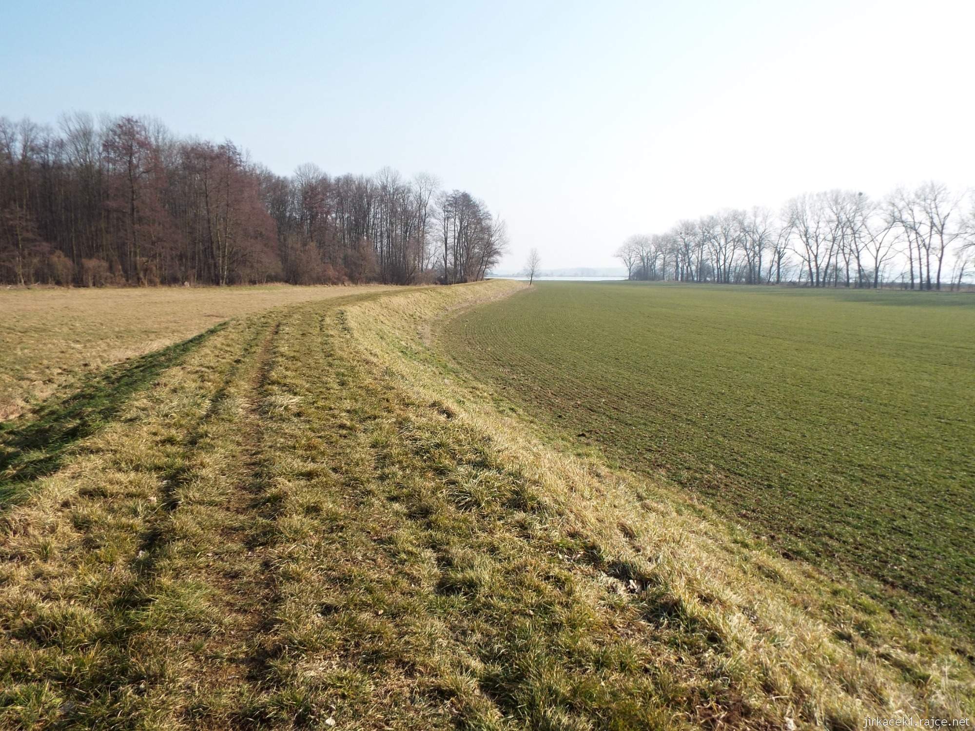 cesta mezi Březové a Lhotou - cesta po hrázi a vpravo mezi stromy potůček Roudník