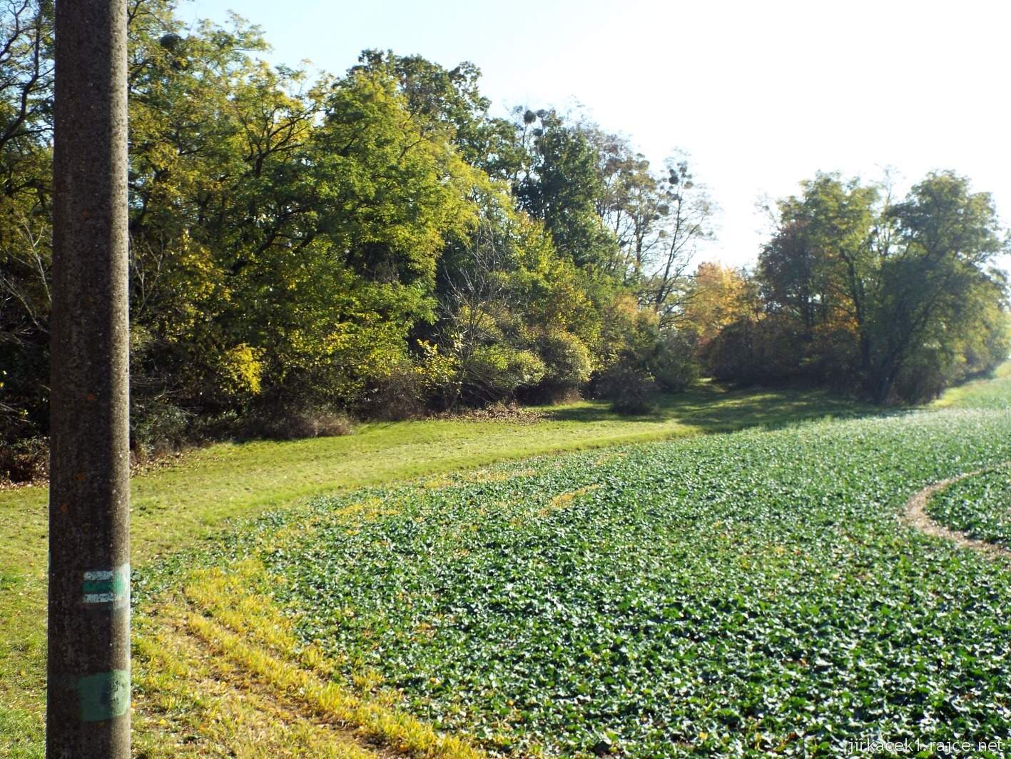 Krčmaň - cesta kolem Cigánských zmol
