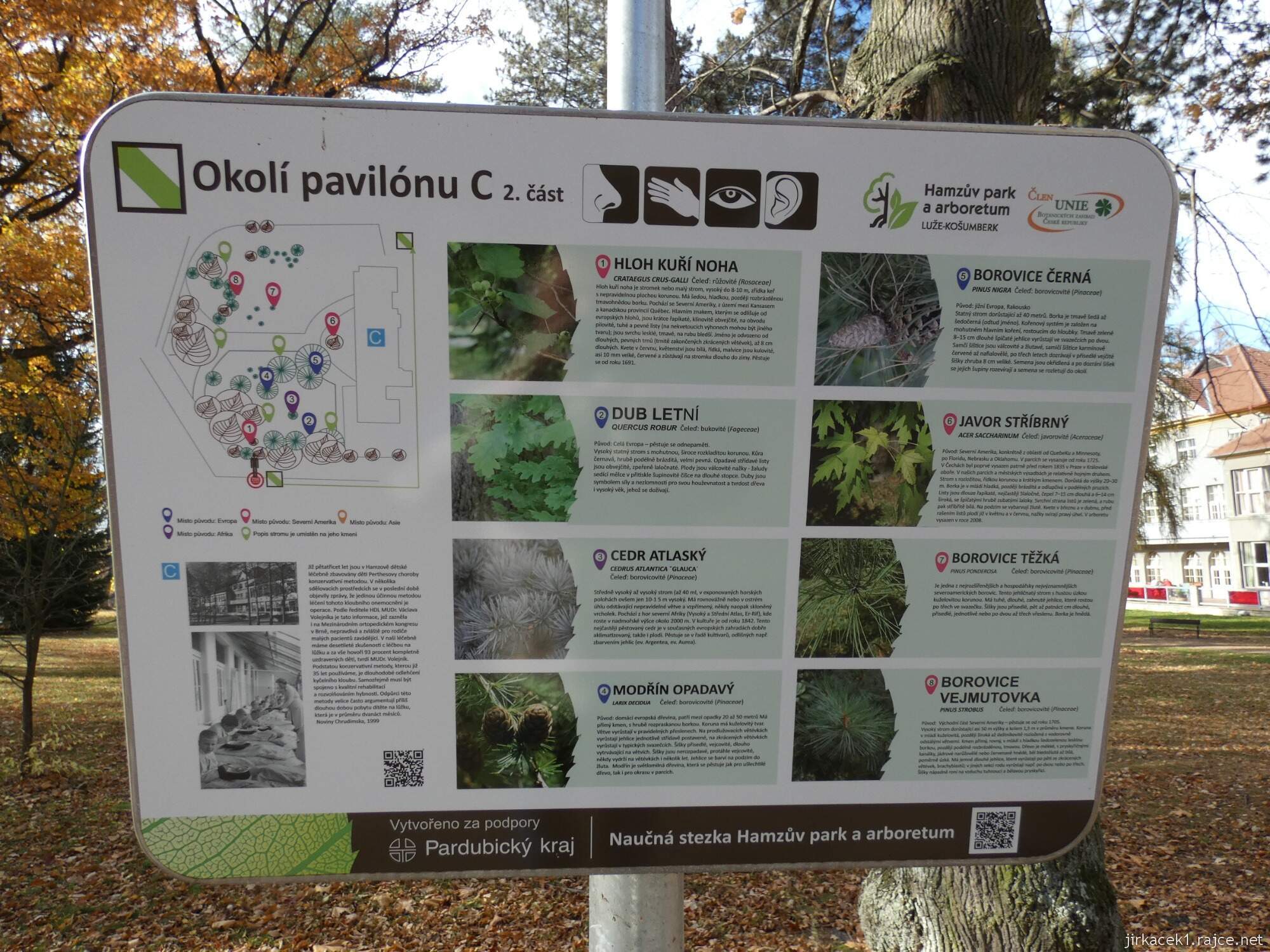 C - Luže - Hamzův park a arboretum 036