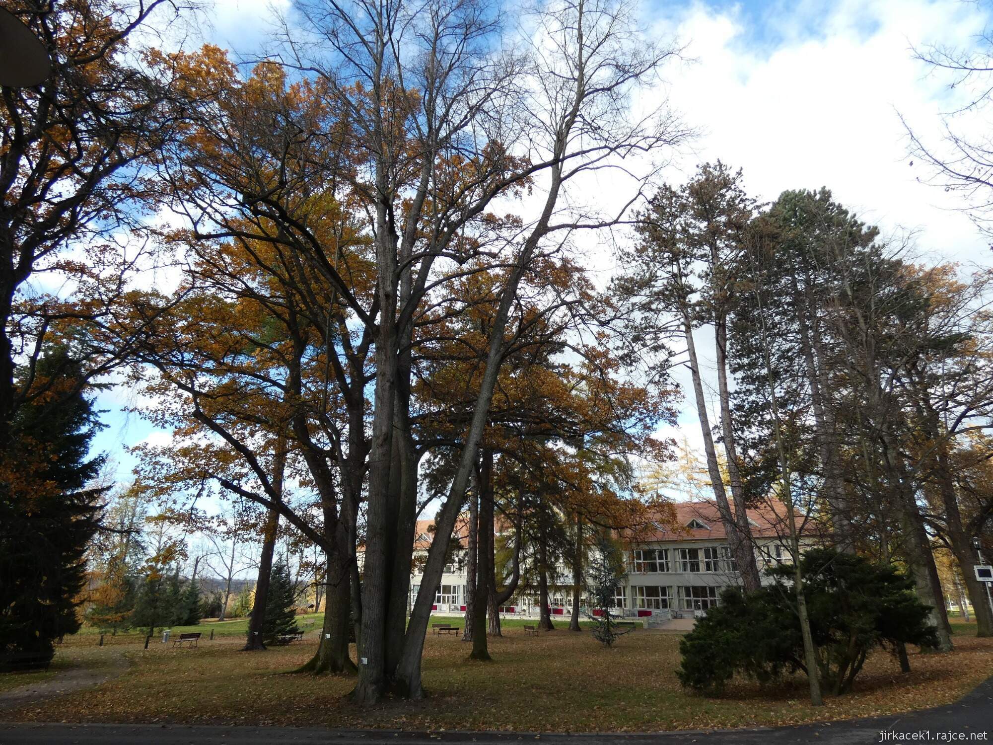 C - Luže - Hamzův park a arboretum 038