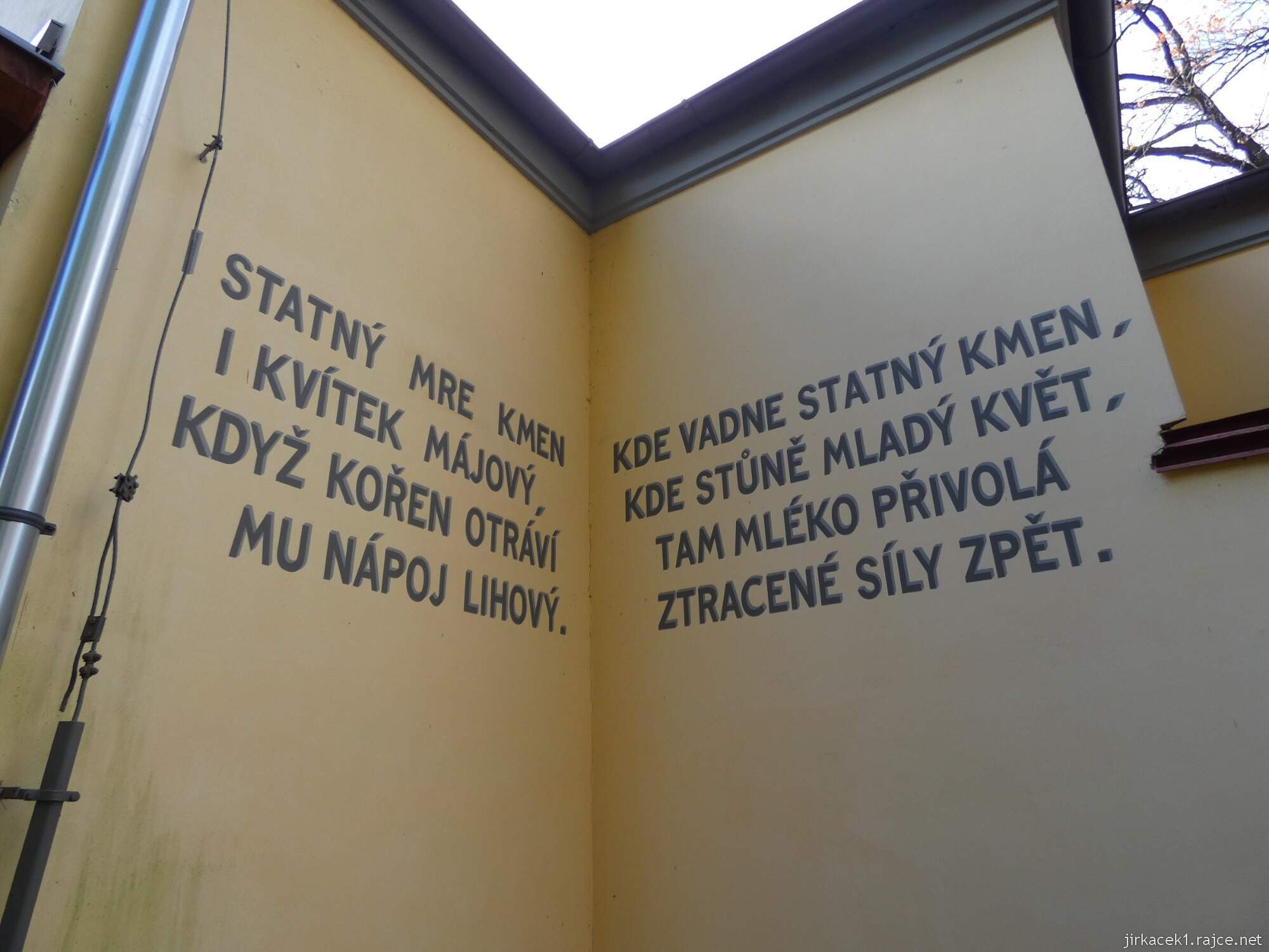 C - Luže - Hamzův park a arboretum 040