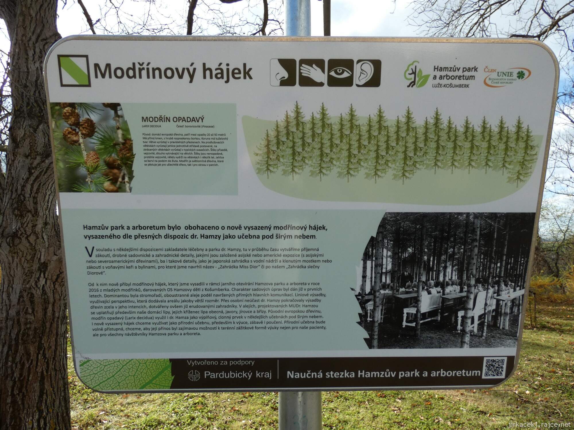 C - Luže - Hamzův park a arboretum 048