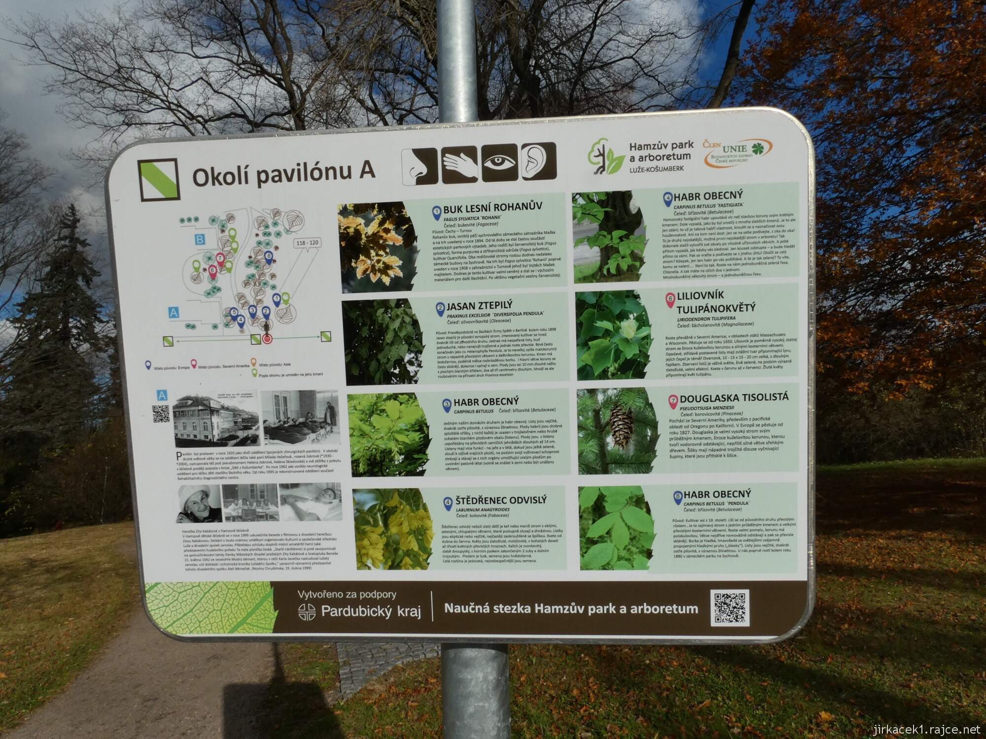 C - Luže - Hamzův park a arboretum 051