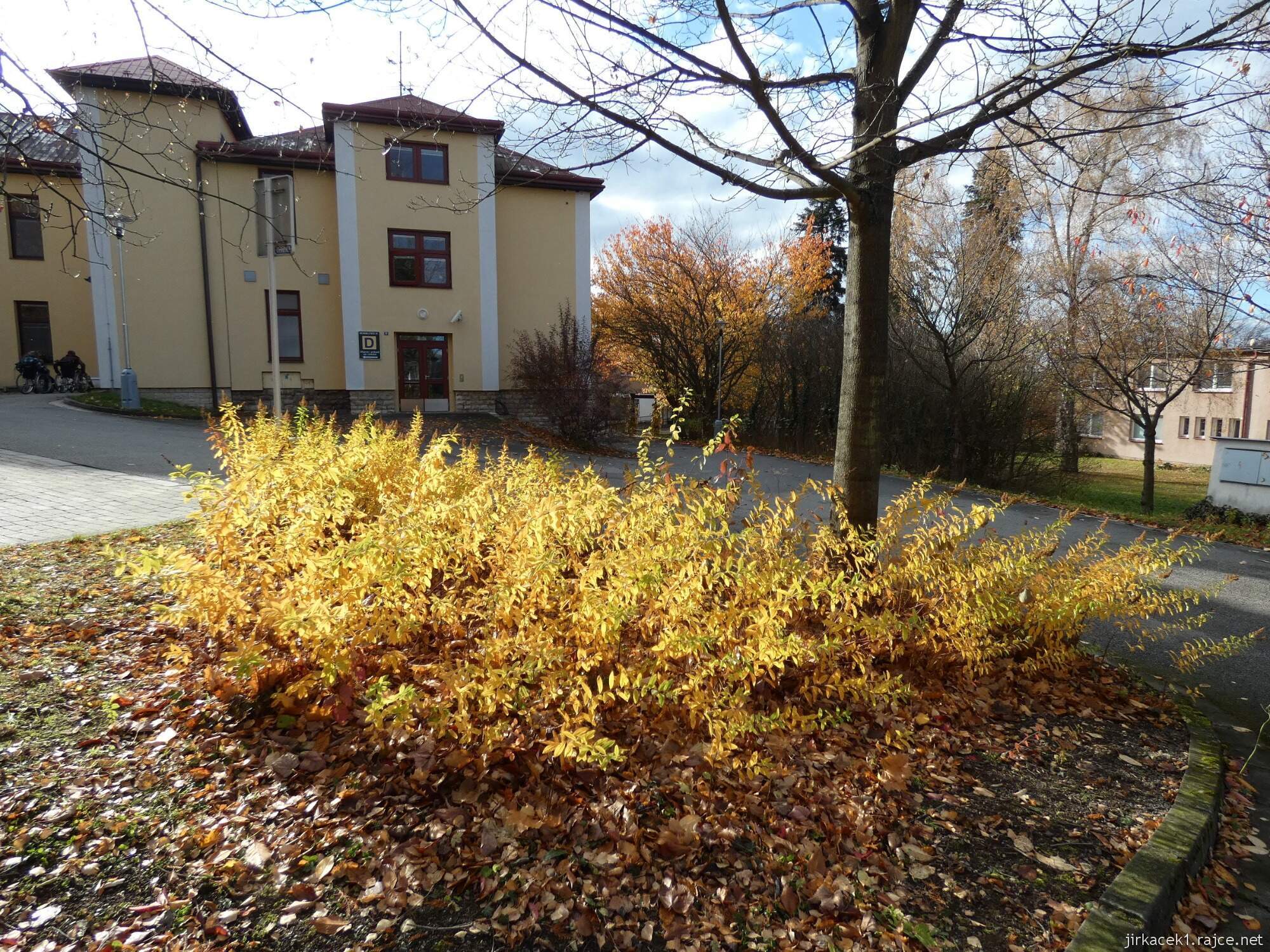 C - Luže - Hamzův park a arboretum 072
