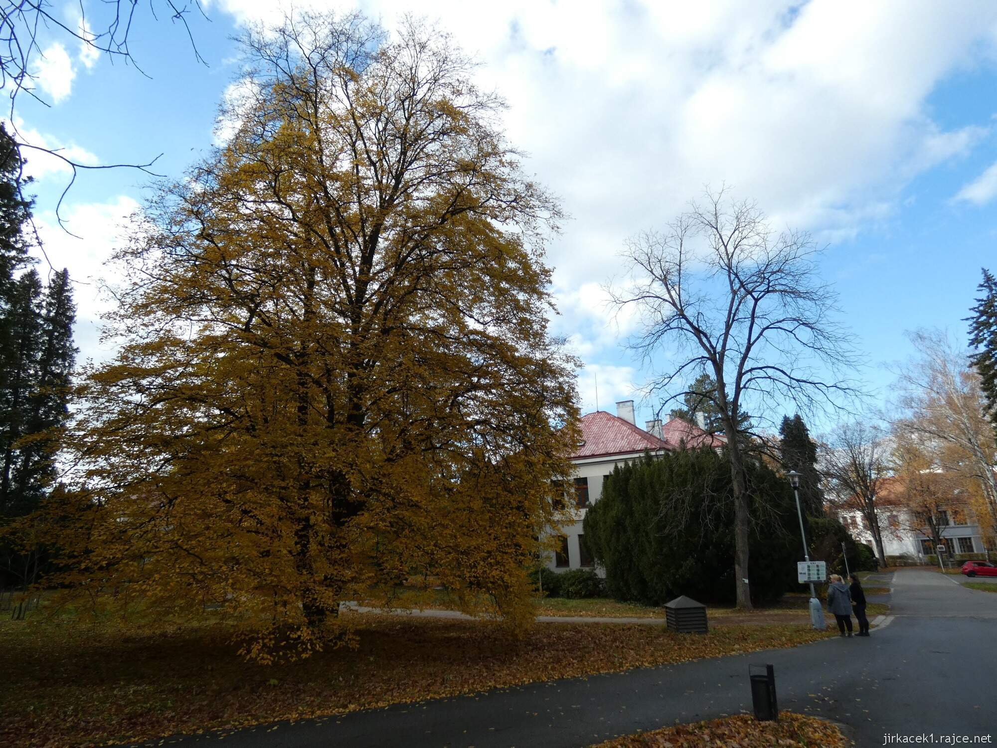 C - Luže - Hamzův park a arboretum 075