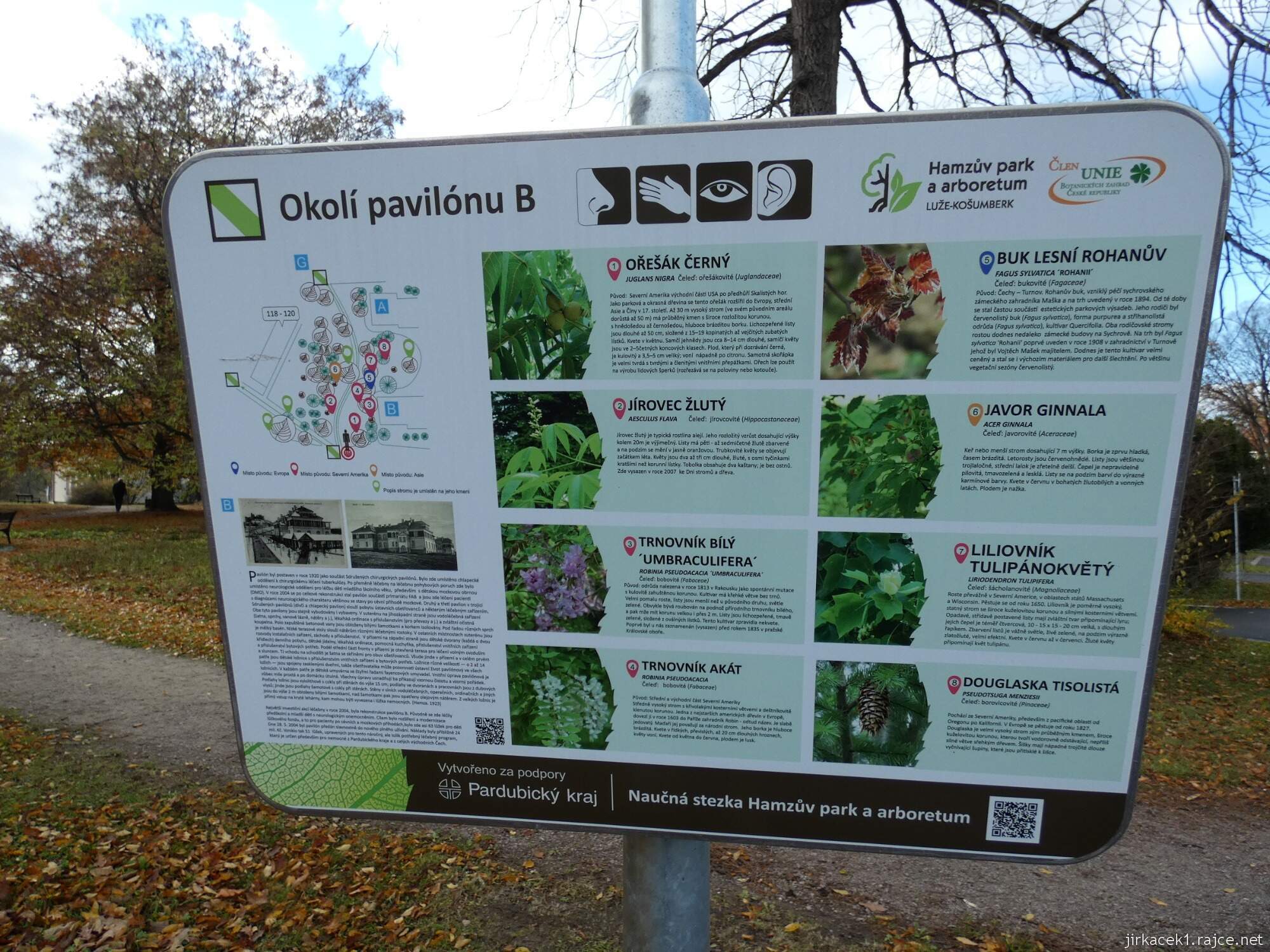 C - Luže - Hamzův park a arboretum 077