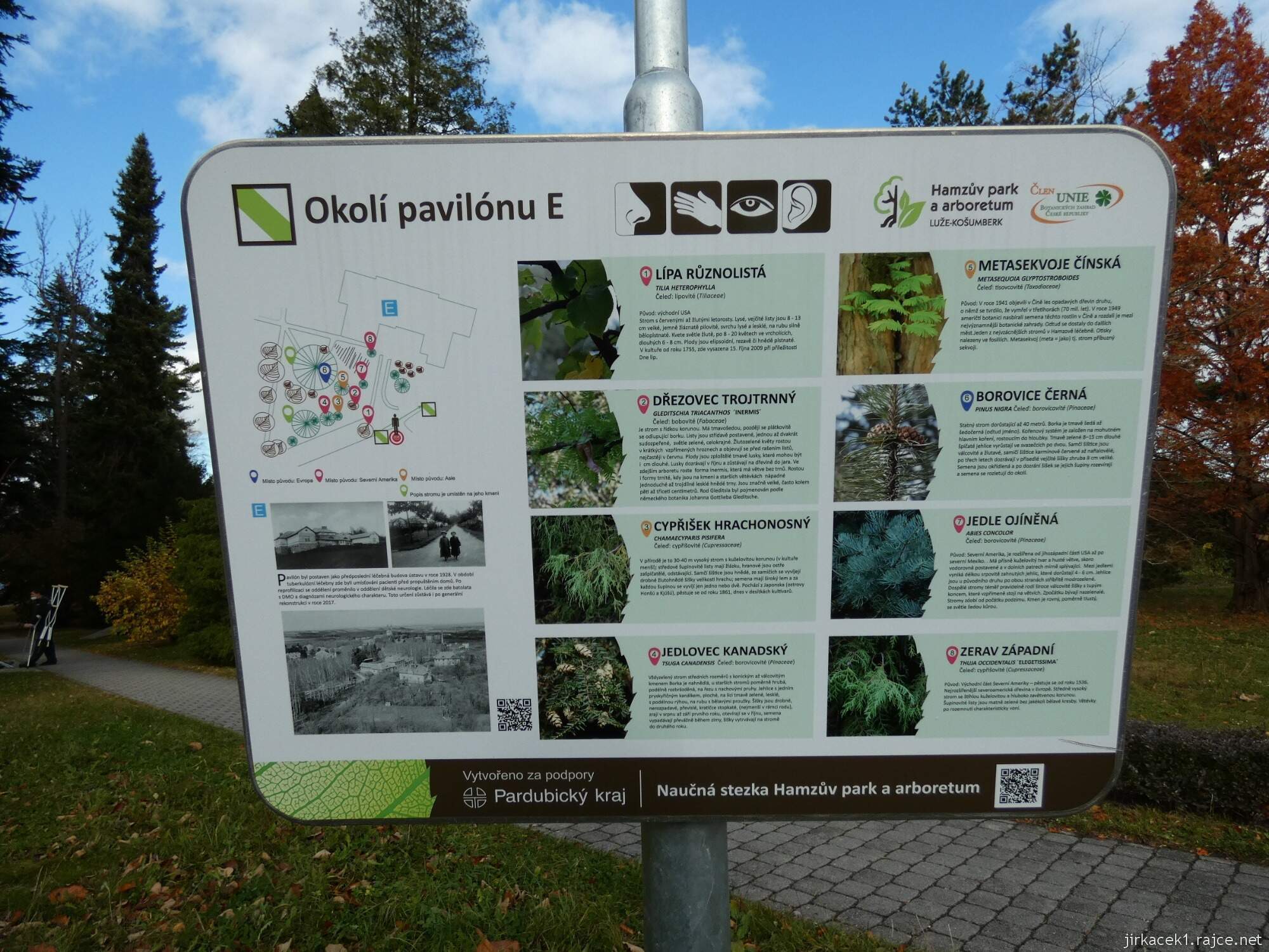 C - Luže - Hamzův park a arboretum 080