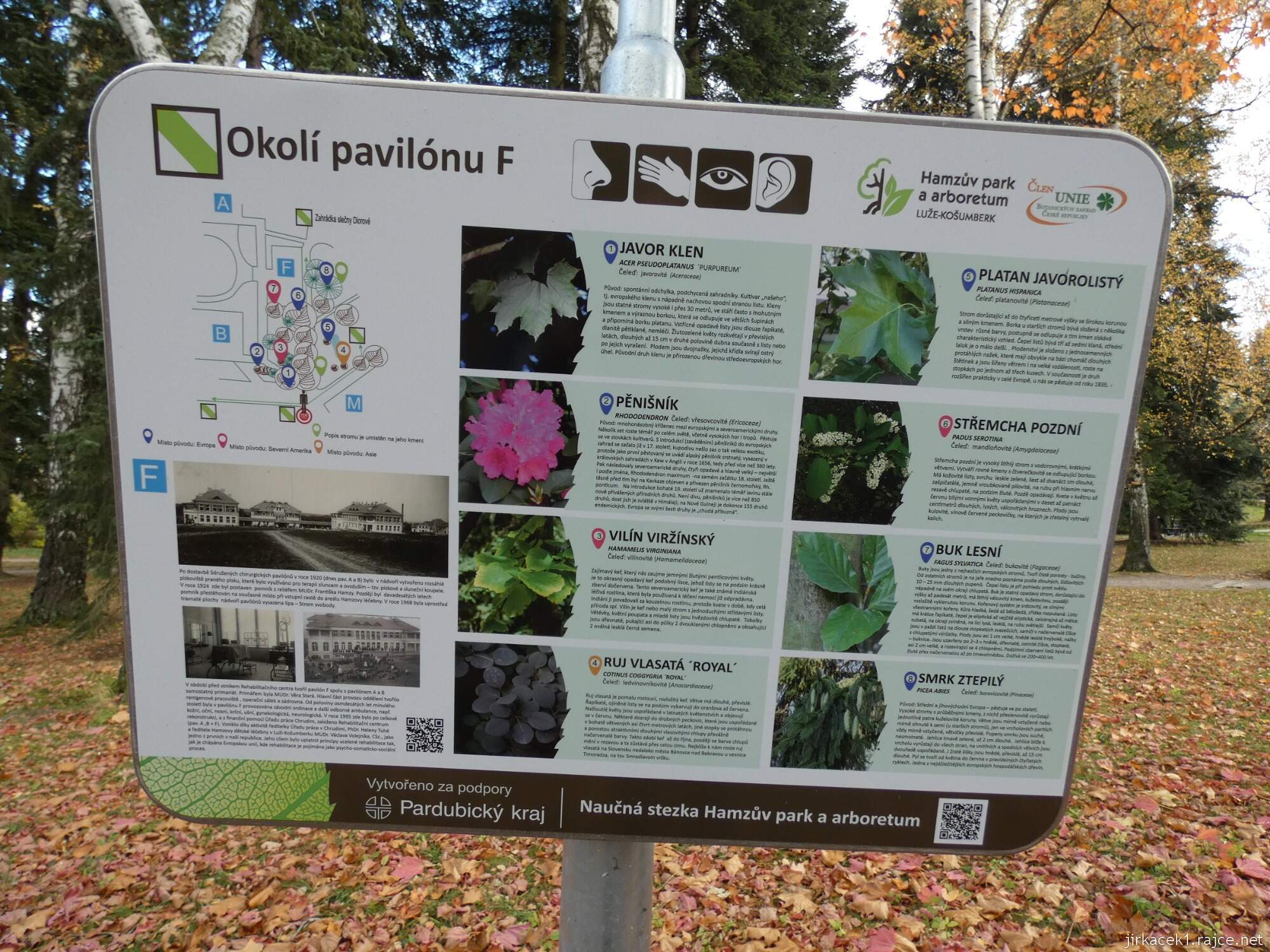 C - Luže - Hamzův park a arboretum 082