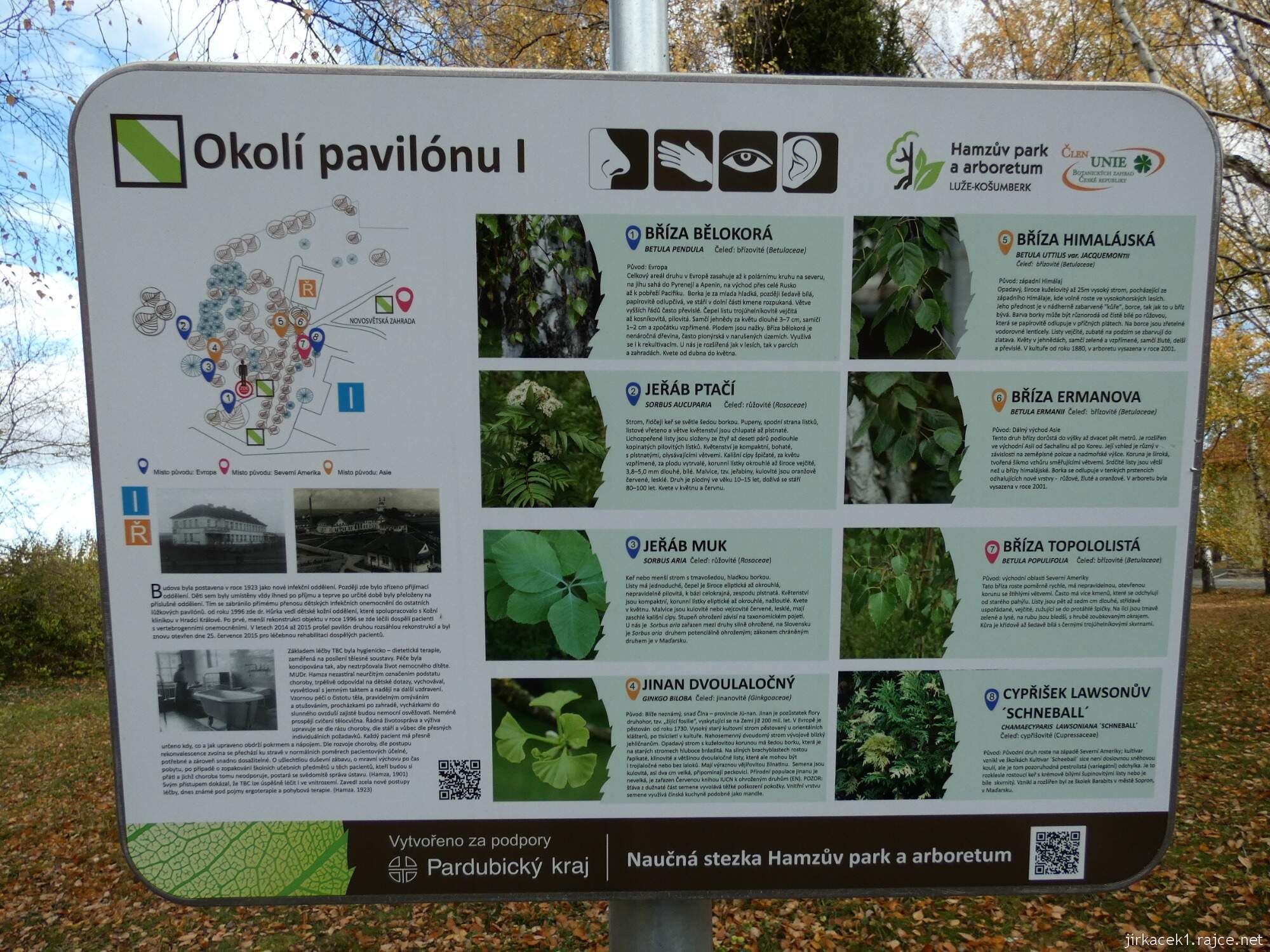 C - Luže - Hamzův park a arboretum 089