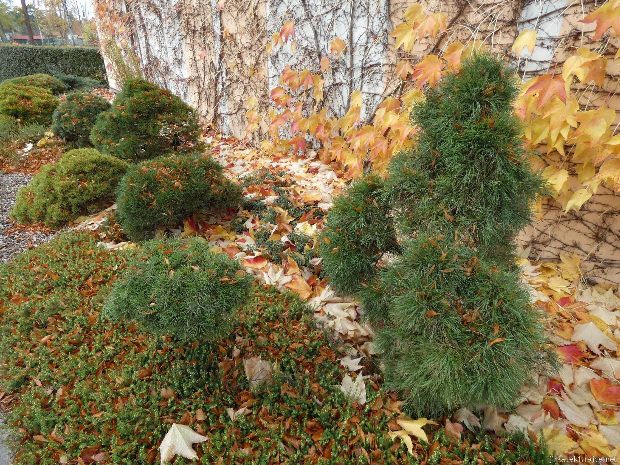 C - Luže - Hamzův park a arboretum 096