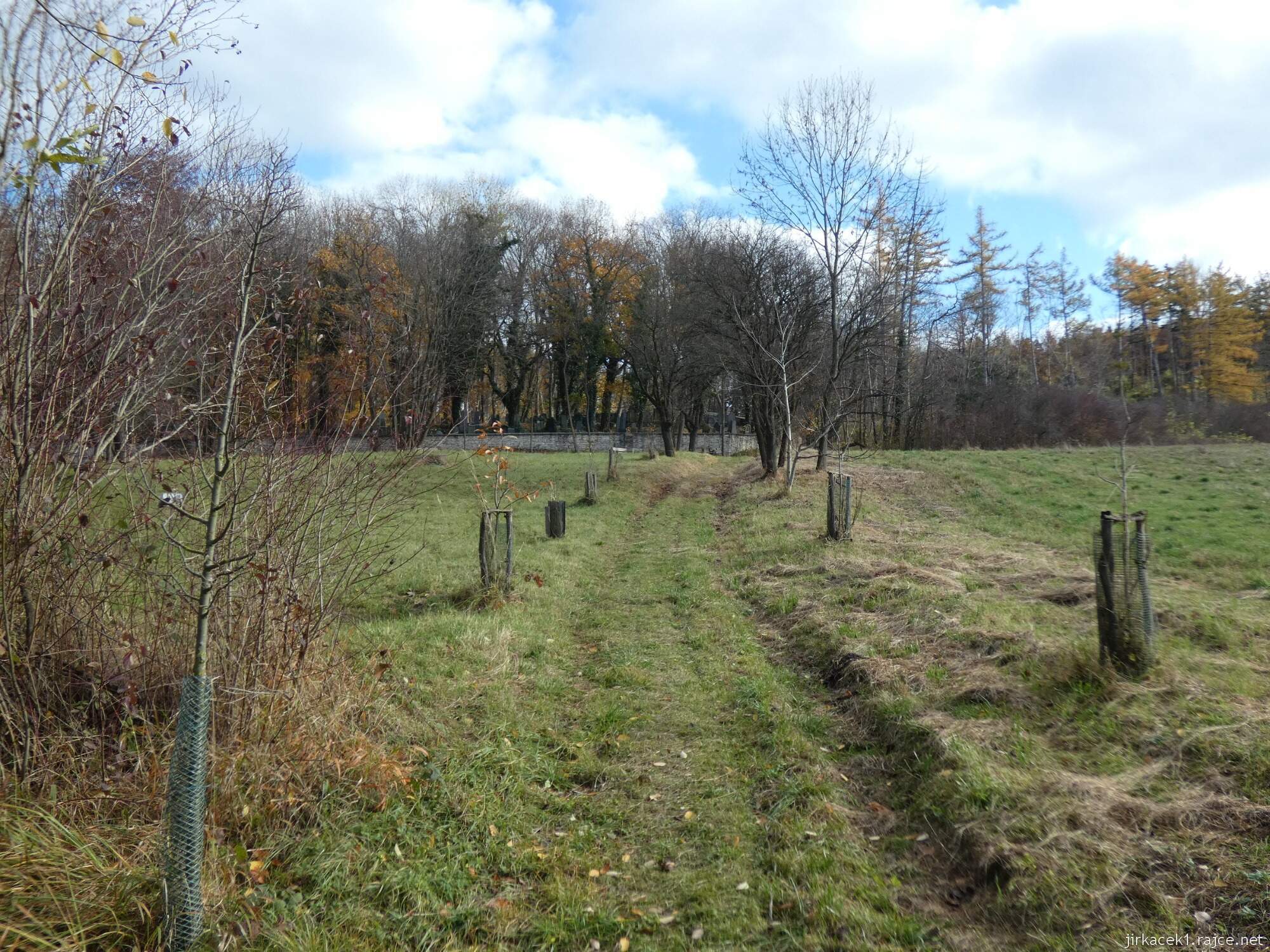 D - Luže - židovský hřbitov 004