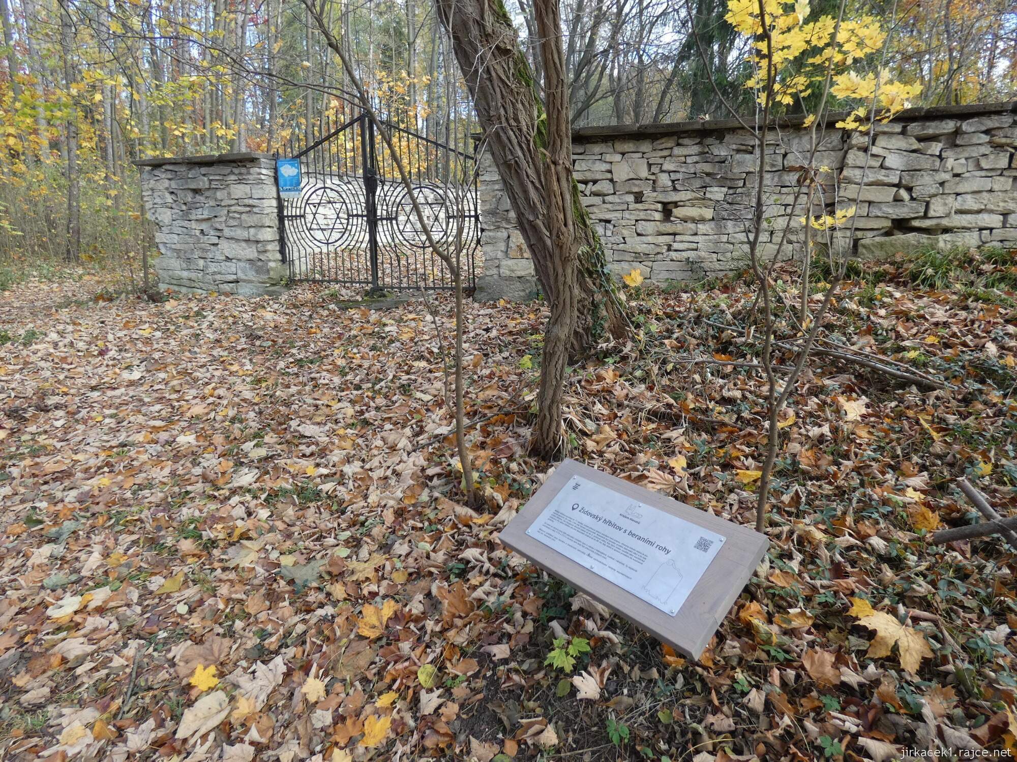 D - Luže - židovský hřbitov 009