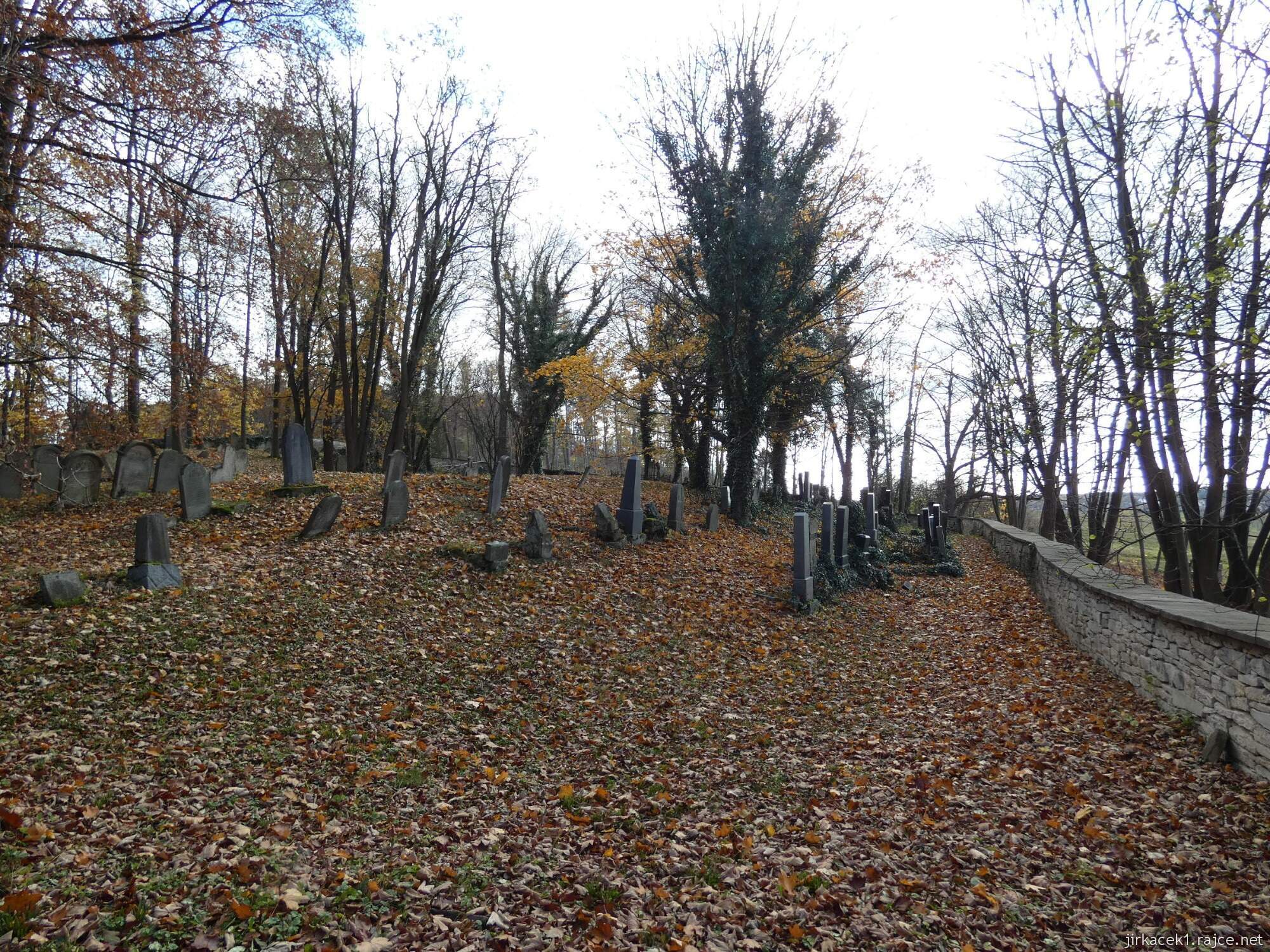 D - Luže - židovský hřbitov 014