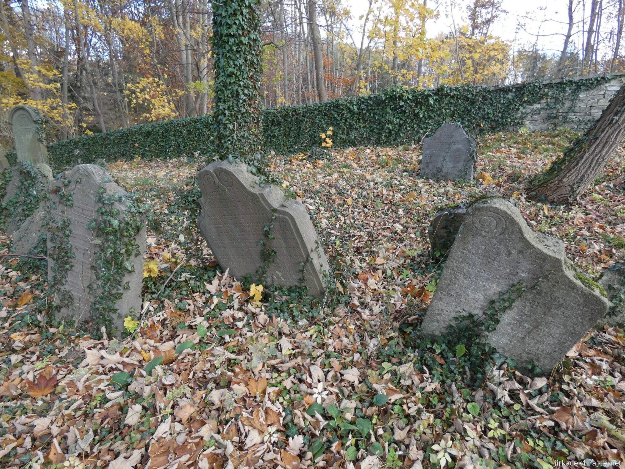 D - Luže - židovský hřbitov 035