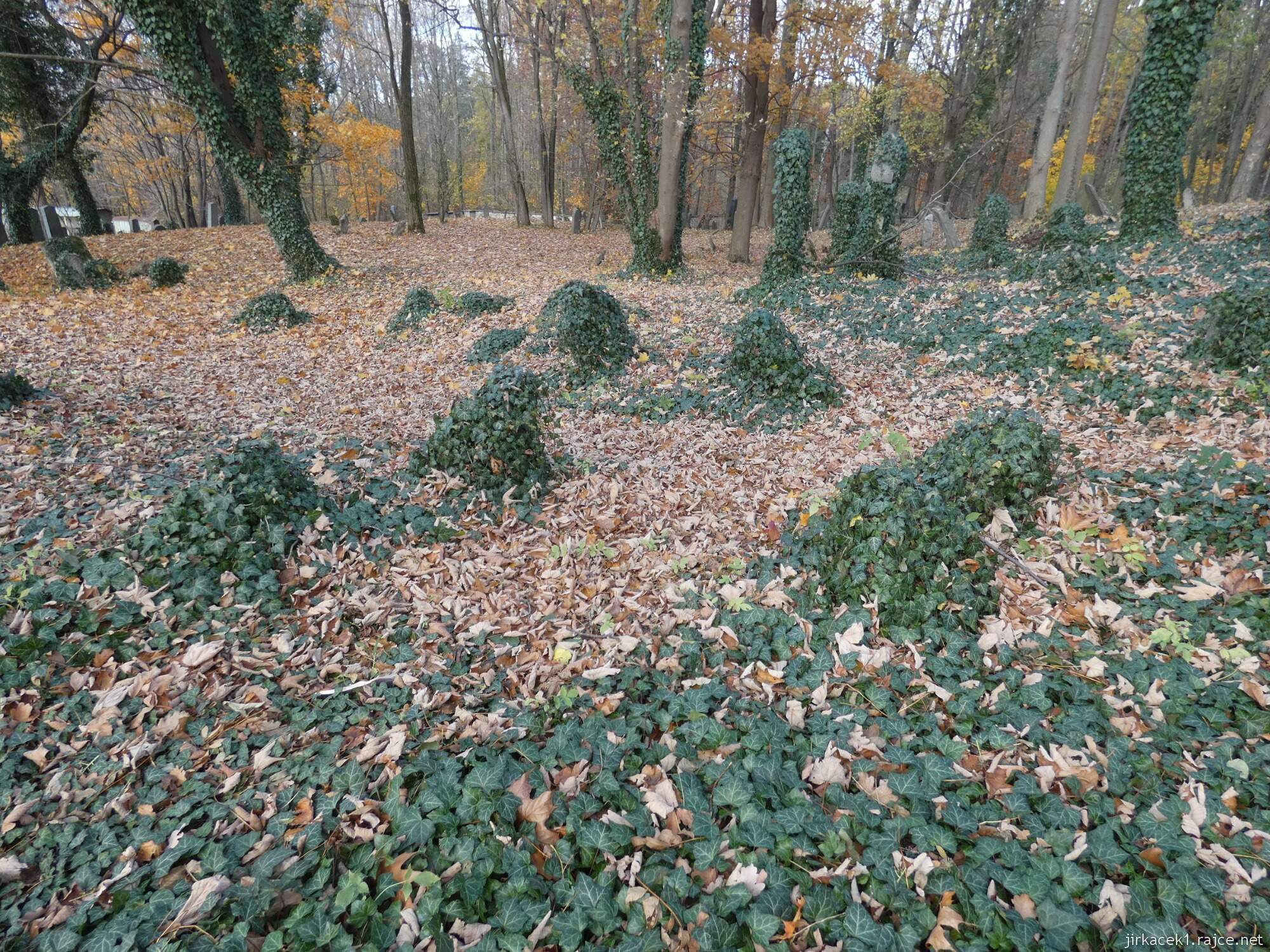 D - Luže - židovský hřbitov 038