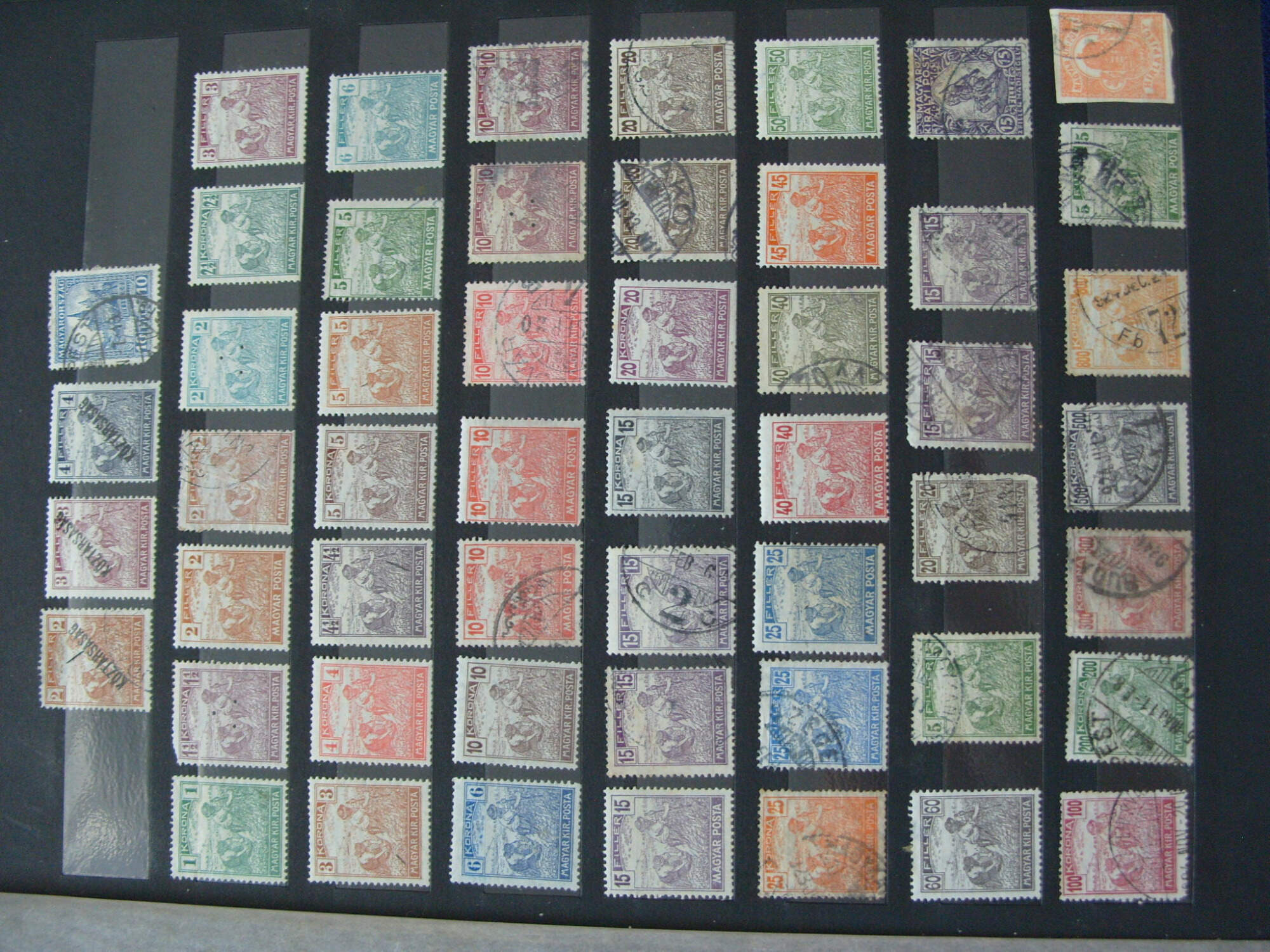 S1050227.jpg?ver=0