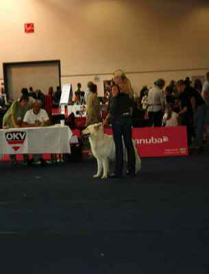 Makya of White Condor - Male Open Class