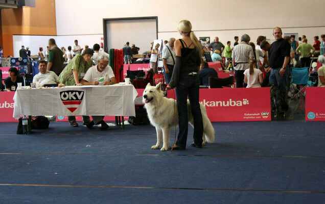 Makya of White Condor - Male Open Class