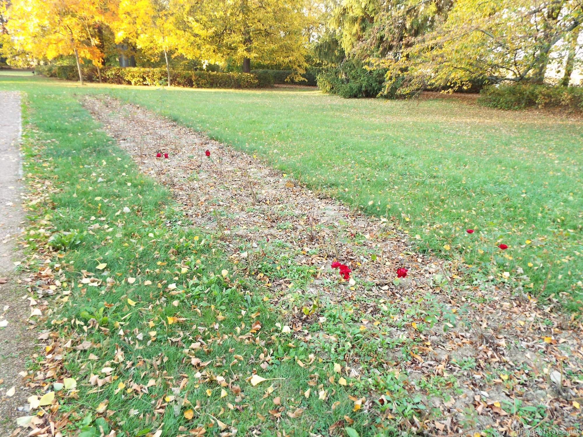 Růžový palouček u Litomyšle - záhon růží