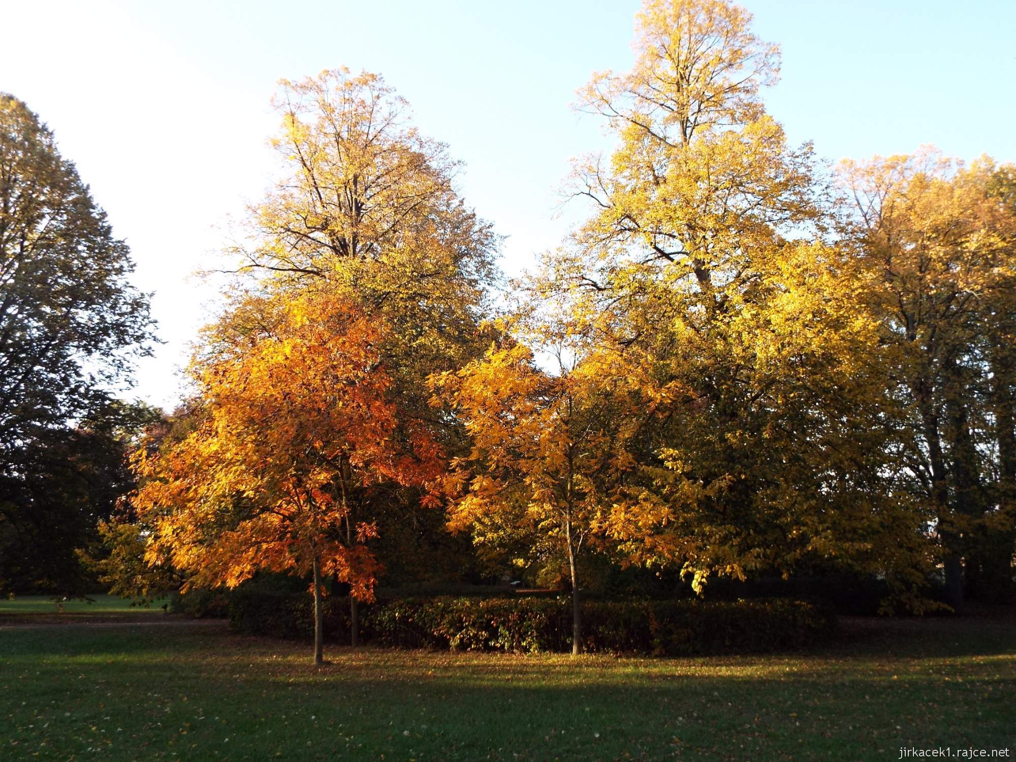 Růžový palouček u Litomyšle - podzimem zbarvené stromy v arboretu