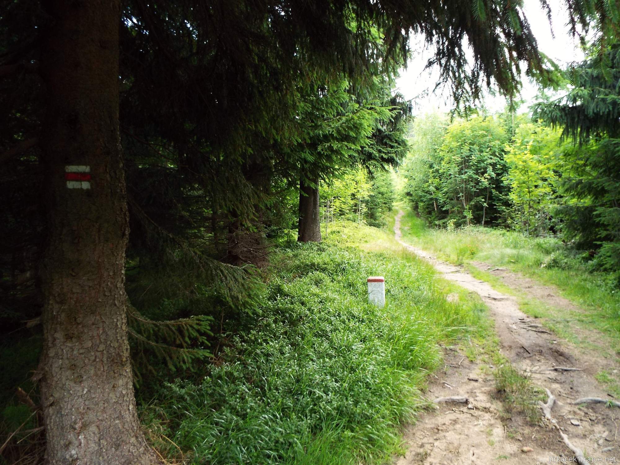 I túra po hřebeni 128 - cesta po červené na Velký Polom - začátek stoupání po hranici CZ-SK