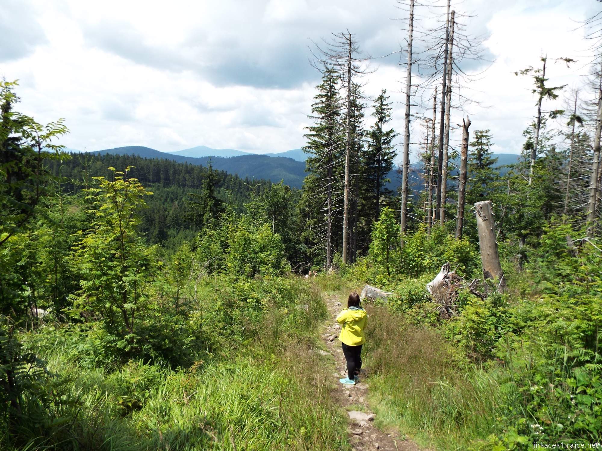 I túra po hřebeni 136 - cesta po červené na Velký Polom - kochání výhledem na Beskydy a Lysou horu uprostřed brutálního stoupání