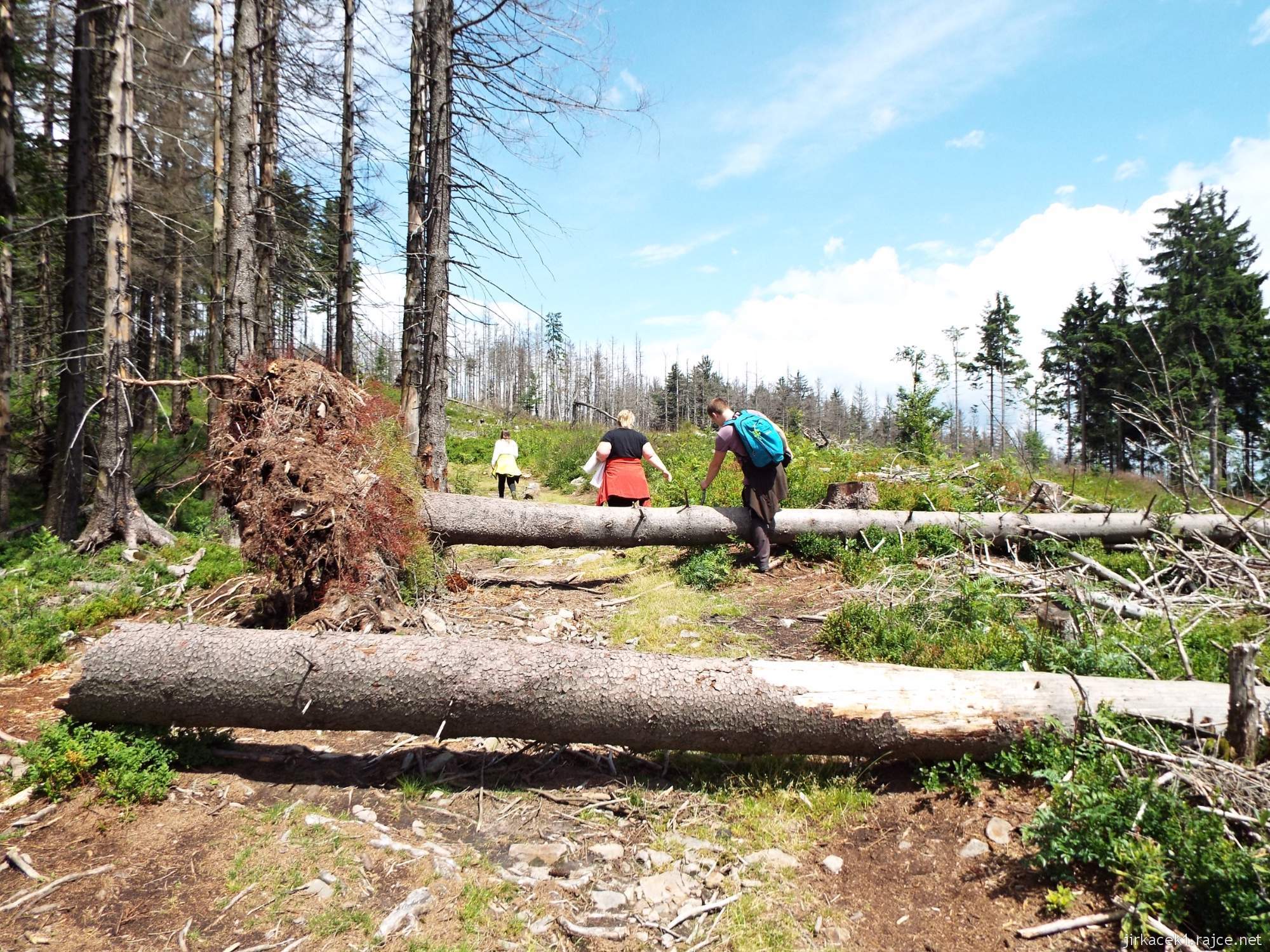 I túra po hřebeni 158 - cesta po červené na Velký Polom - překážky na mýtině