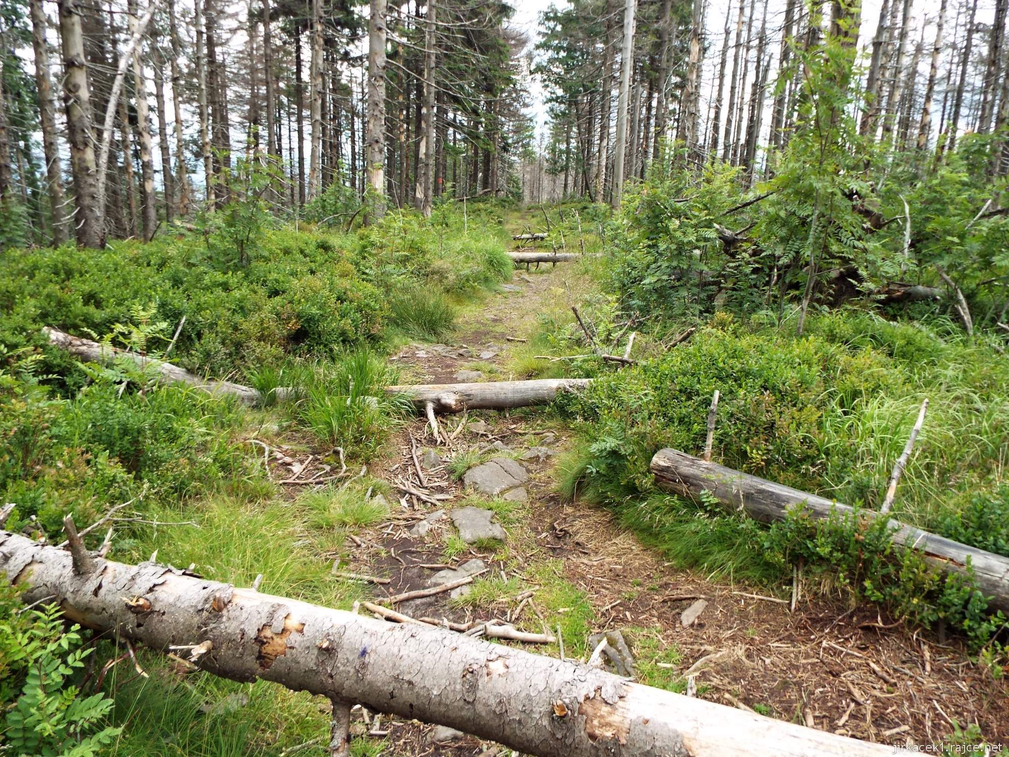 I túra po hřebeni 175 - z Velkého Polomu na Kamennou chatu - překážky ještě na vrcholu Polomu
