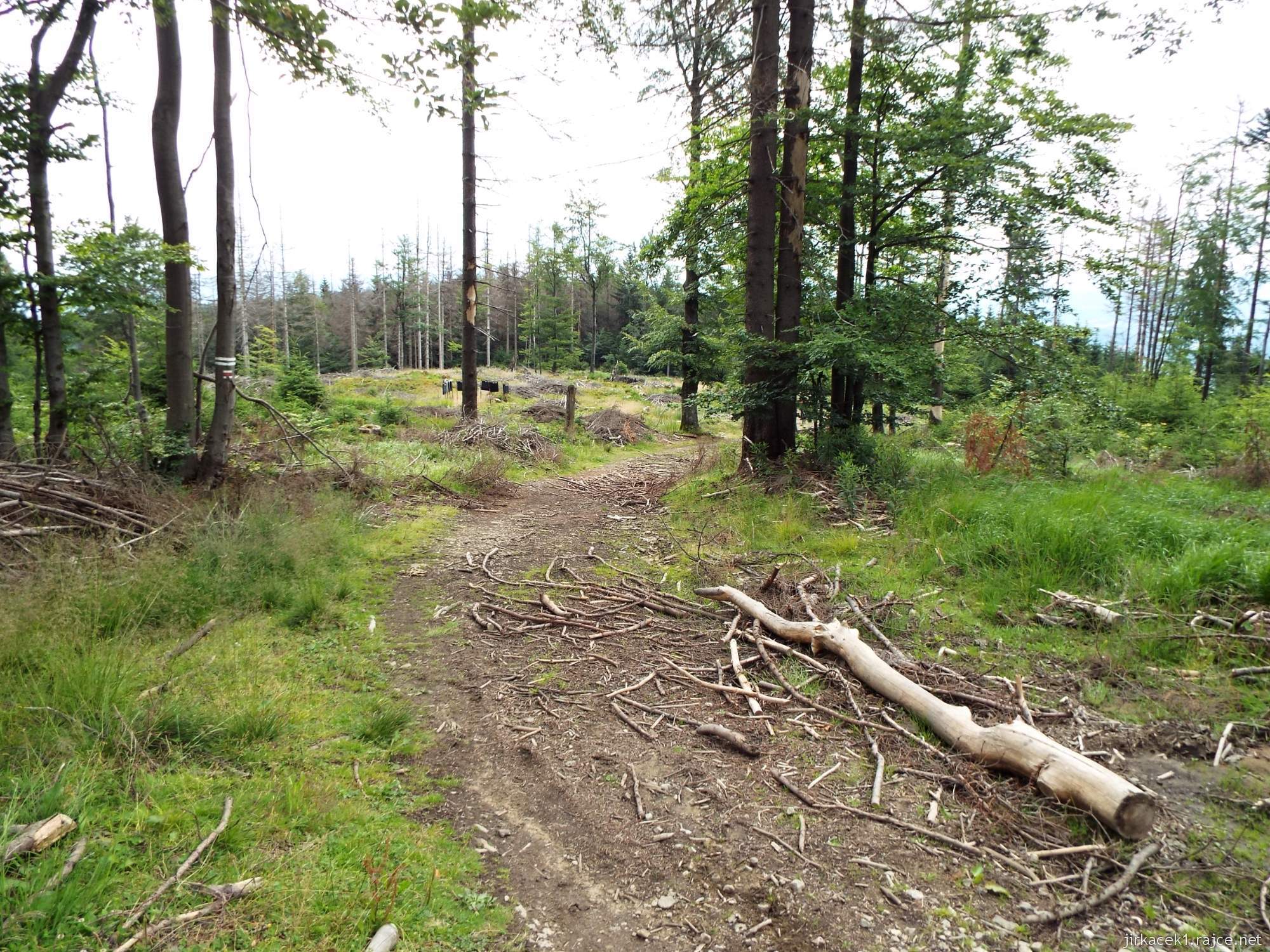 I túra po hřebeni 195 - z Velkého Polomu na Kamennou chatu - klesání z rozcestí Pod Velkým Polomem