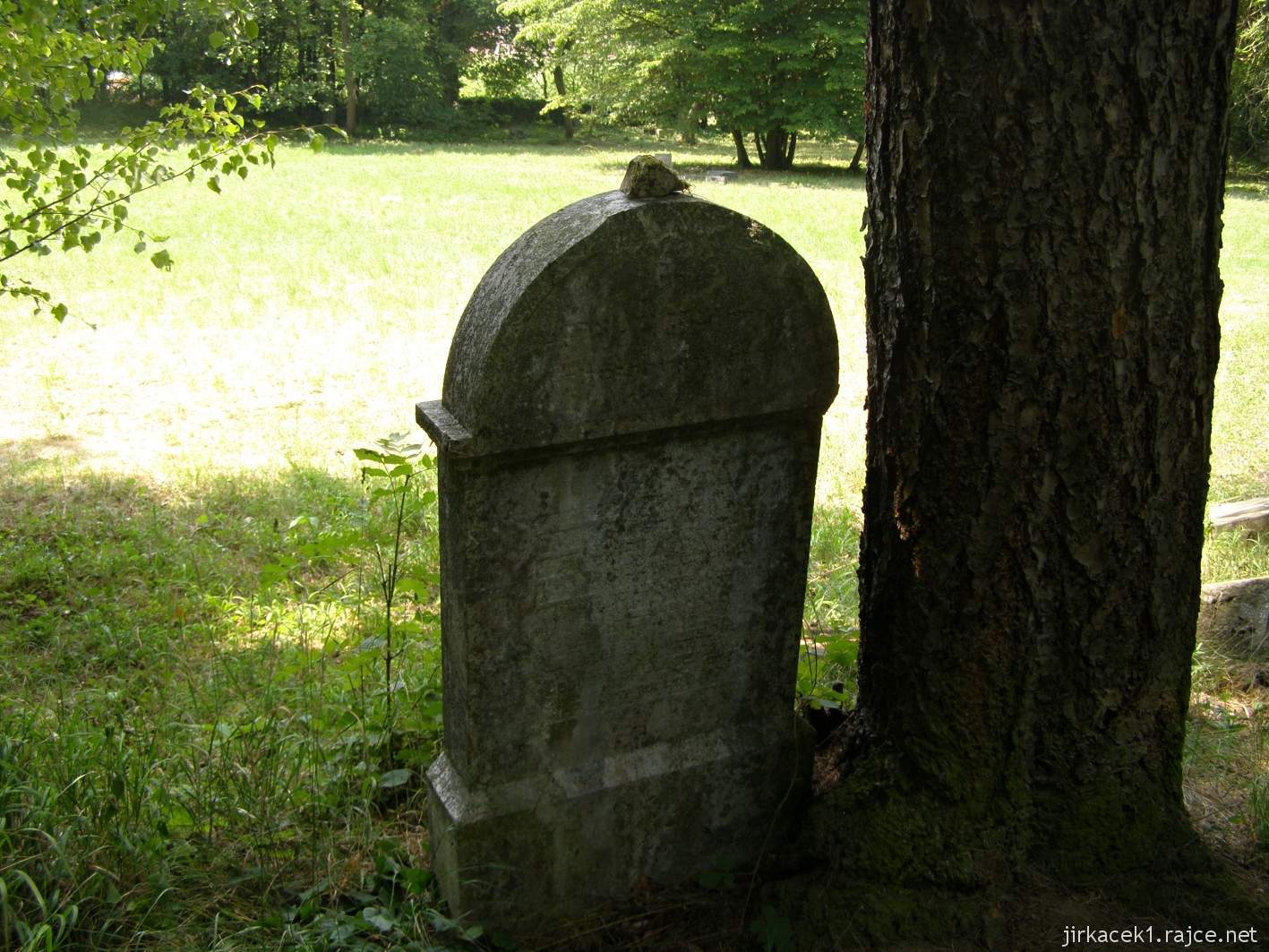 Třebotov - židovský hřbitov 08 - náhrobek u stromu, za ním volná část hřbitova