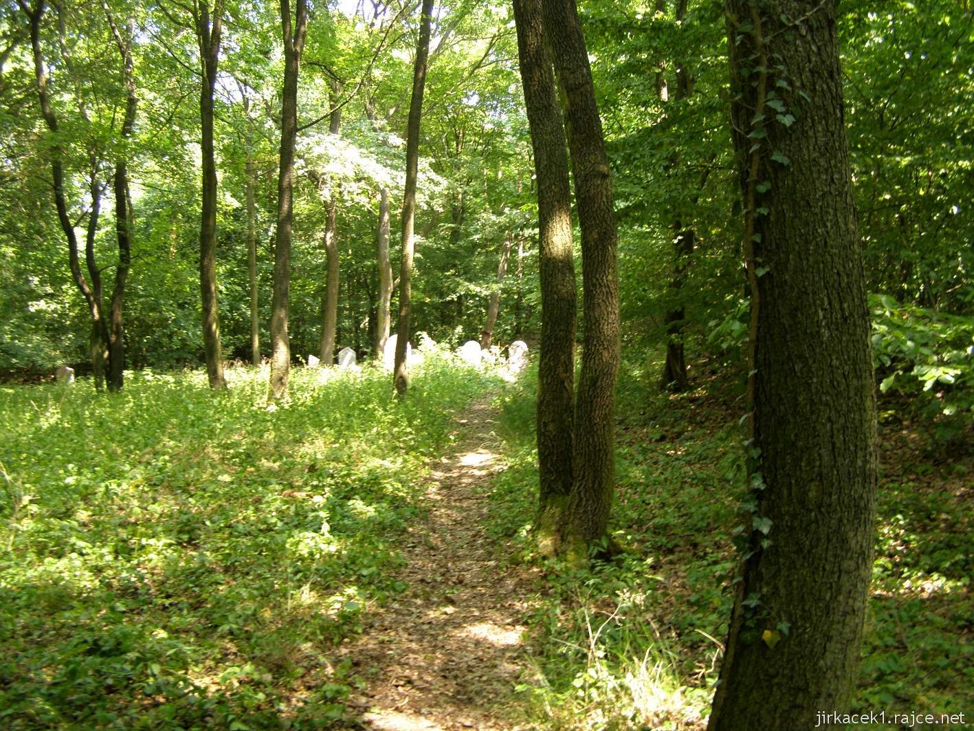 Třebotov - židovský hřbitov 09 - cestička okolo zdi