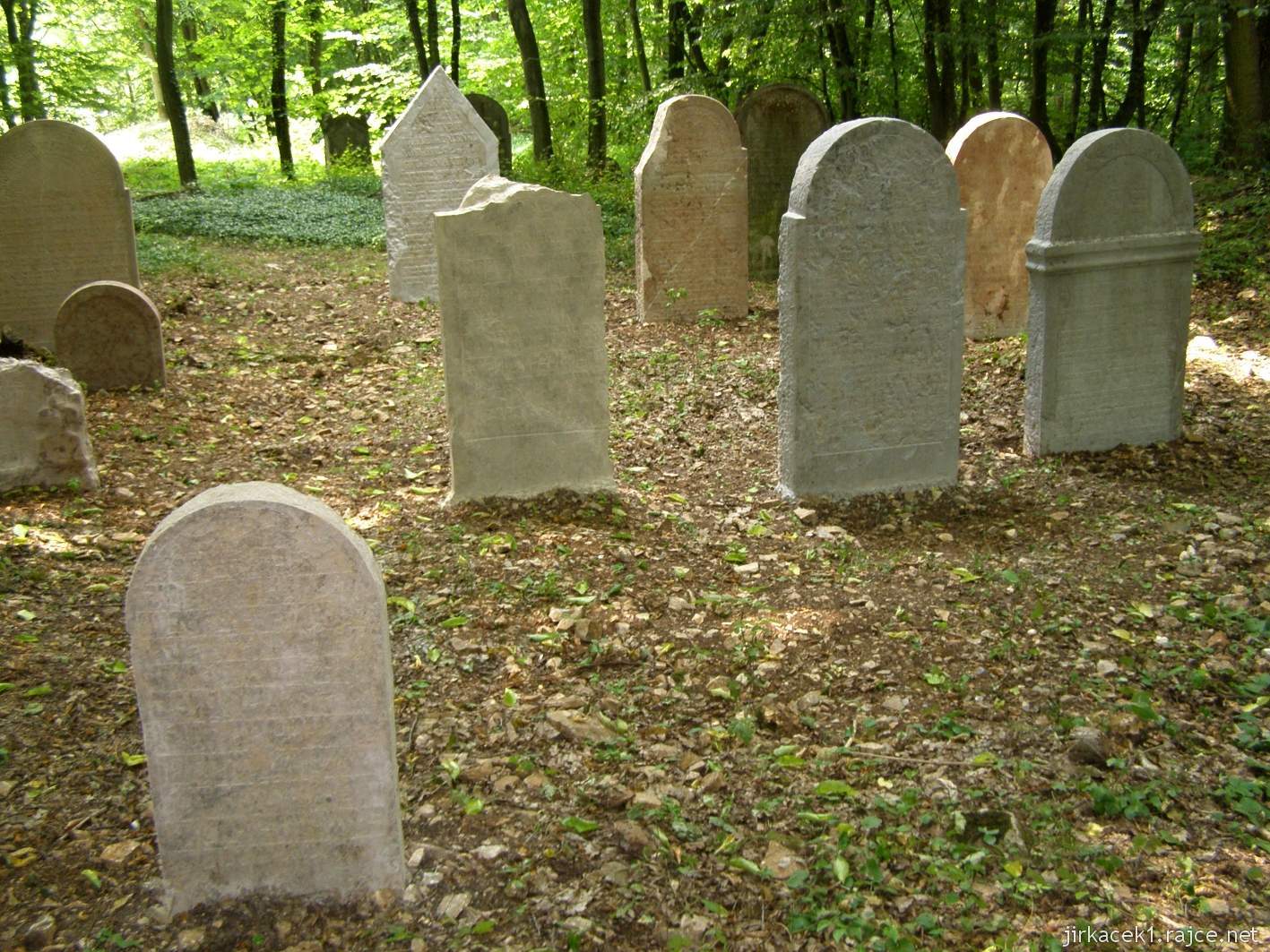 Třebotov - židovský hřbitov 14 - obnovená část hřbitova
