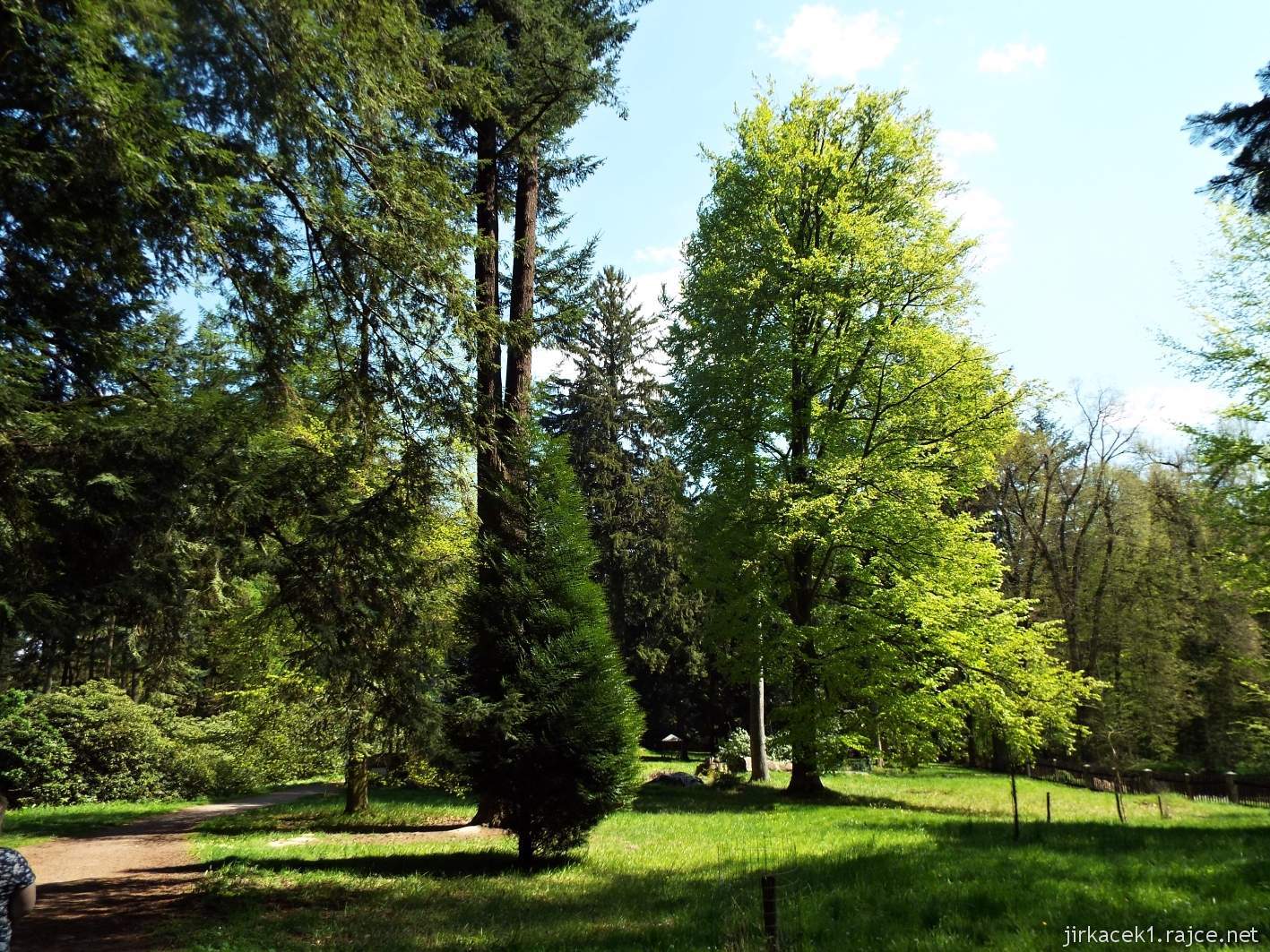 Hruboskalsko 10 - Arboretum Bukovina - stromy