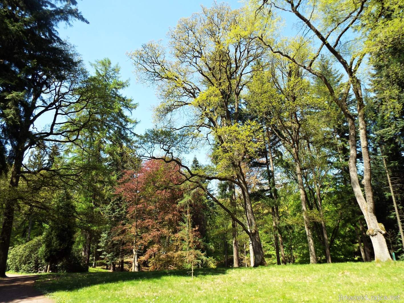 Hruboskalsko 19 - Arboretum Bukovina - stromy