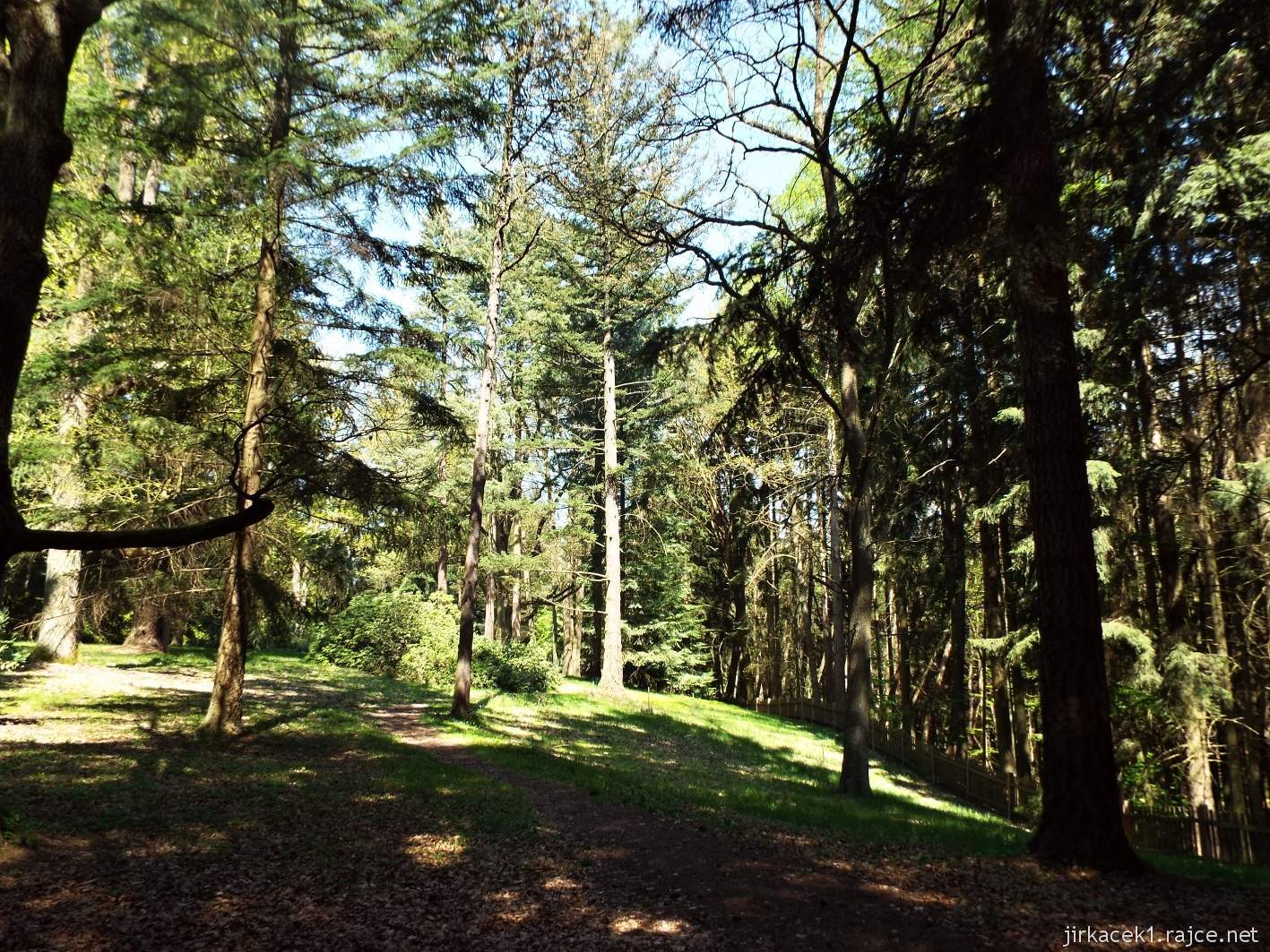 Hruboskalsko 21 - Arboretum Bukovina - stromy