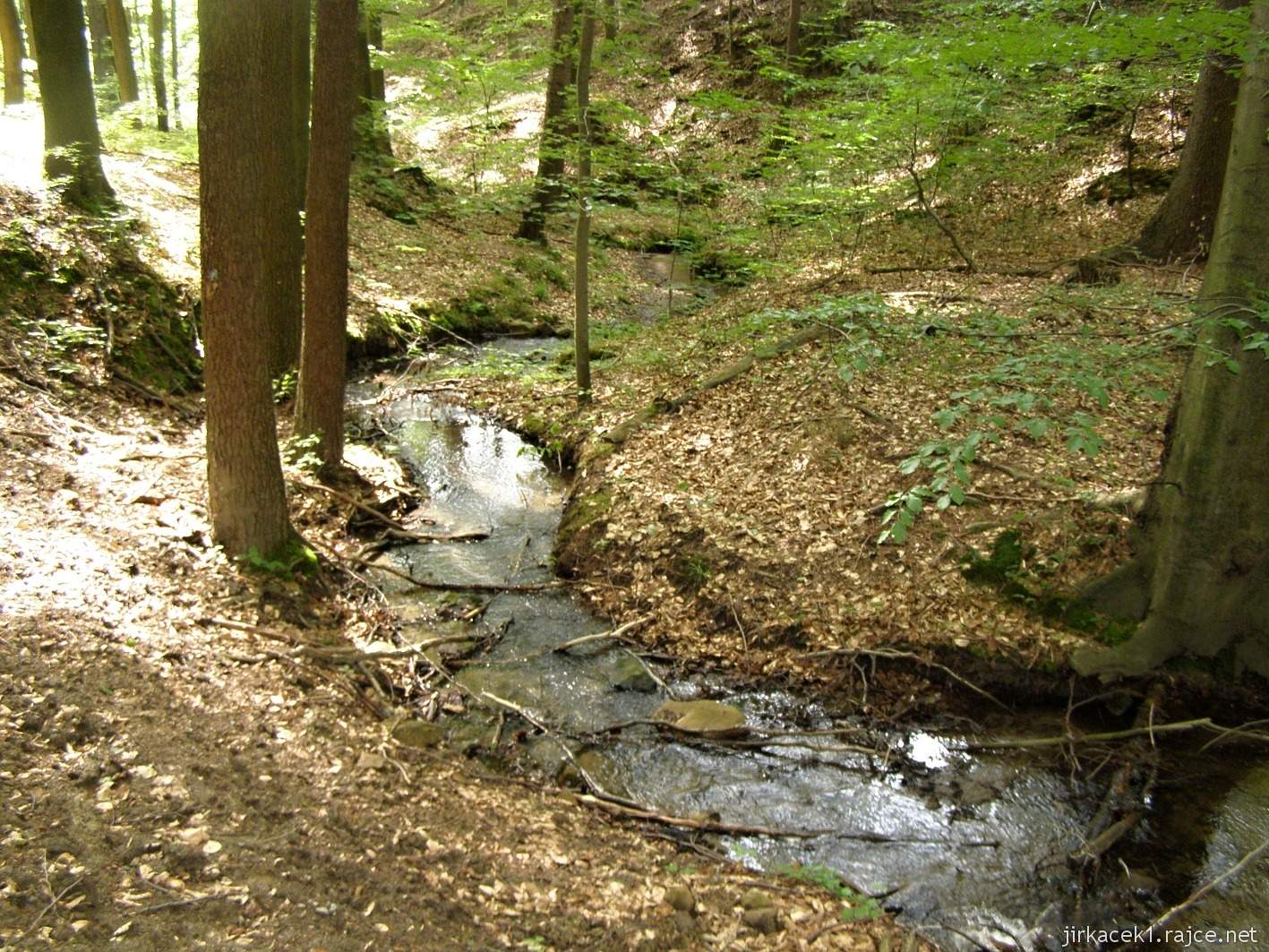Chřiby - Roštínský potok