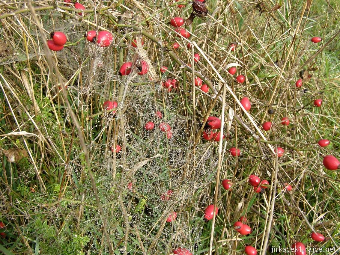 Větrný mlýn Jalubí