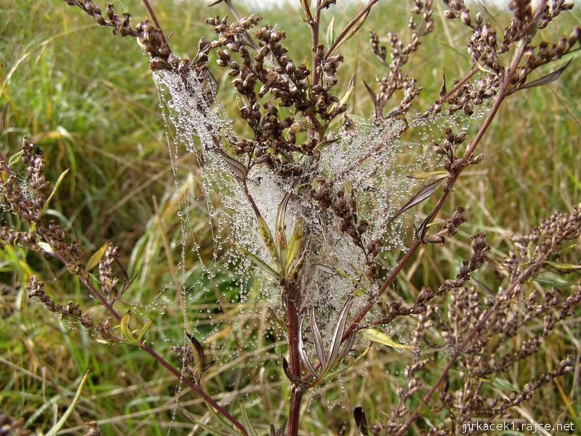 Větrný mlýn Jalubí
