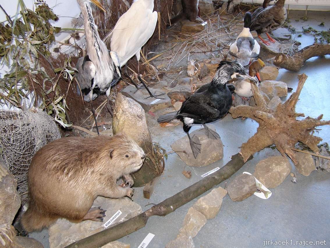 Modrá - Živá voda