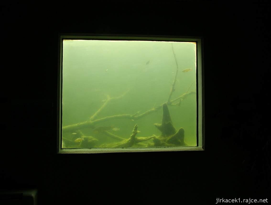 Modrá - Živá voda