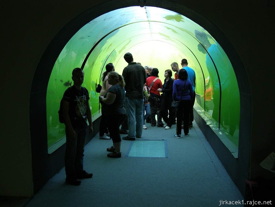 Modrá - Živá voda