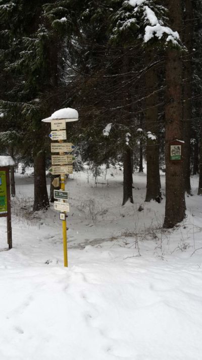 Skurečná 24. 2. 2018