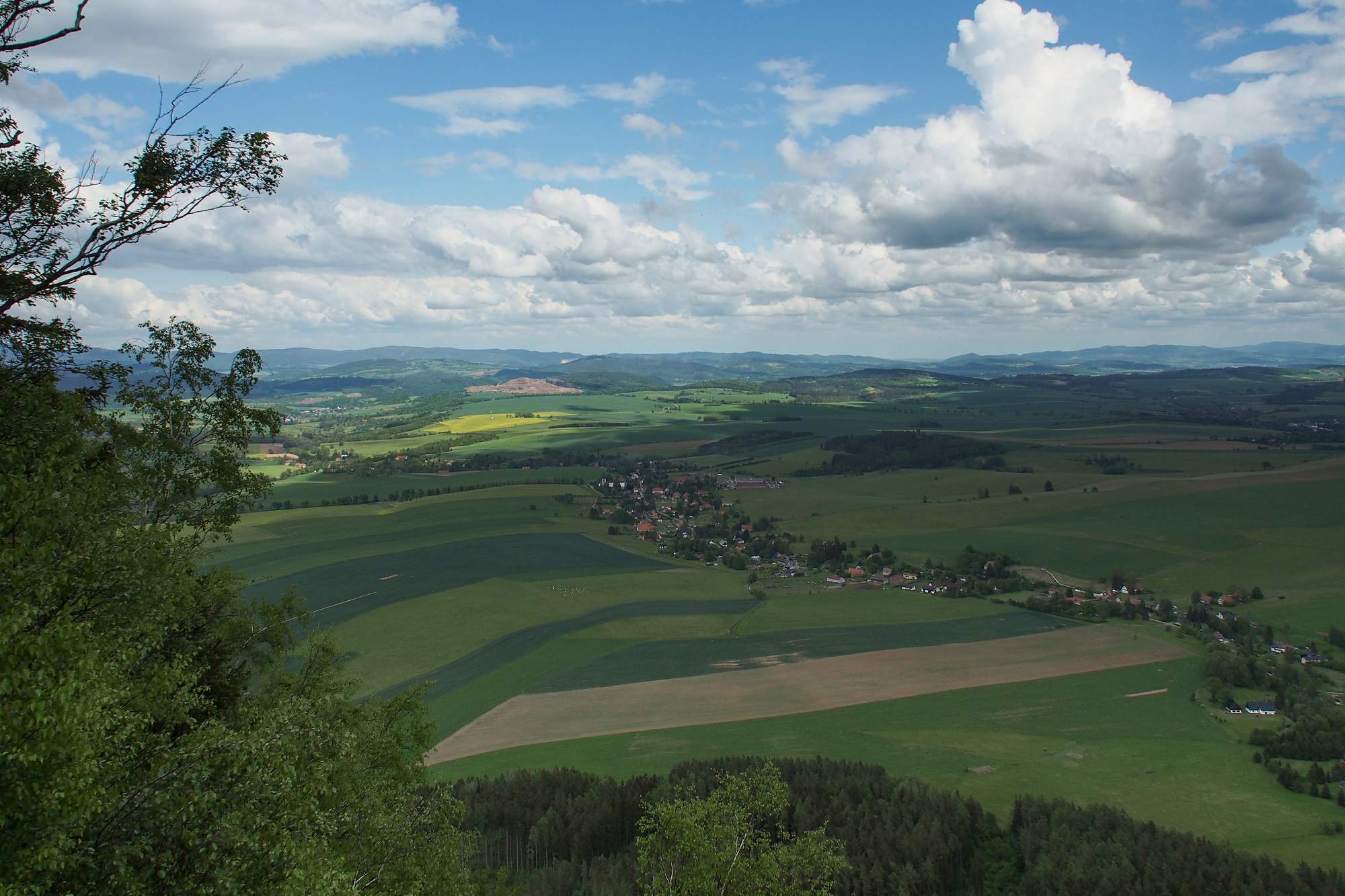 Obrázek