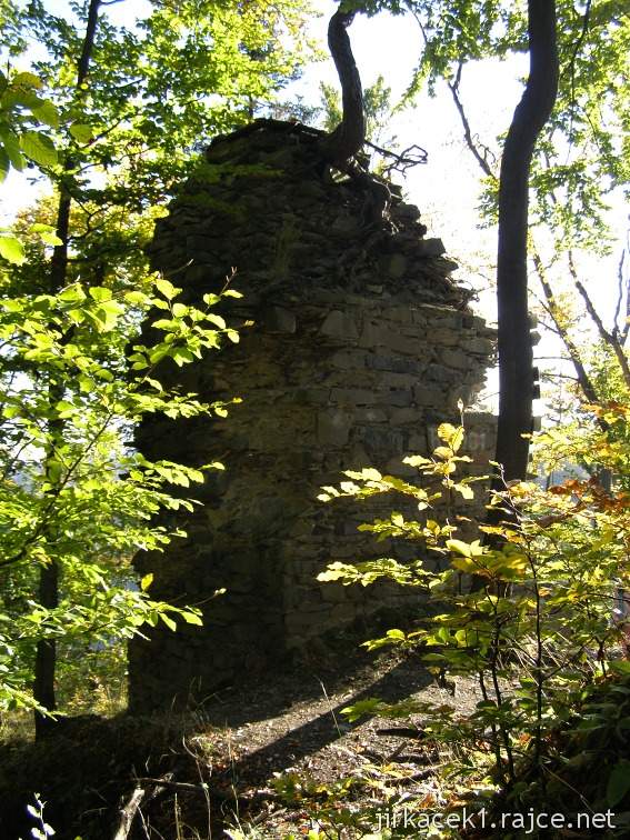 Kyžlířov - zřícenina hradu Puchart - Zadní hrad – interiérová strana západní stěny paláce s částečně dochovanou okenní špaletou.
