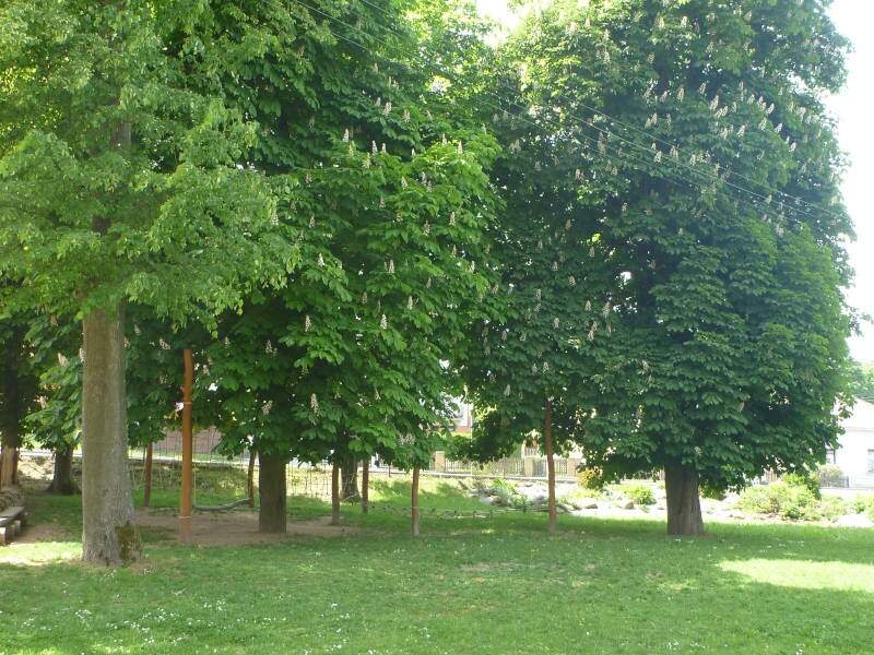 Základní škola Stonařov