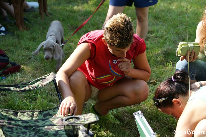 rajce camping Camp MSC 09' - 1. coursing - 1.část – Royal Stuart – album na Rajčeti